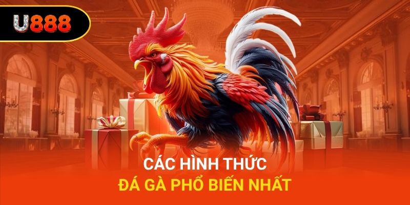 Các hình thức đá gà phổ biến nhất