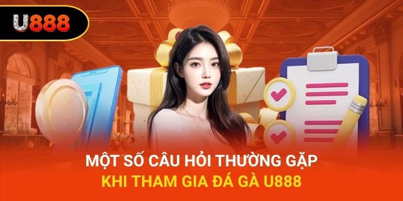 Một số câu hỏi thường gặp khi tham gia đá gà U888
