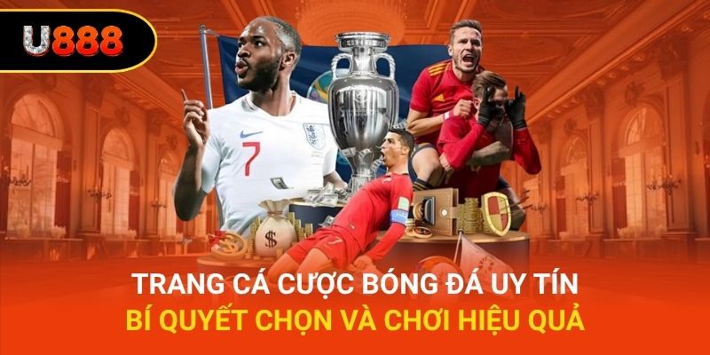 Trang Cá Cược Bóng Đá Uy Tín - Bí Quyết Chọn Và Chơi Hiệu Quả